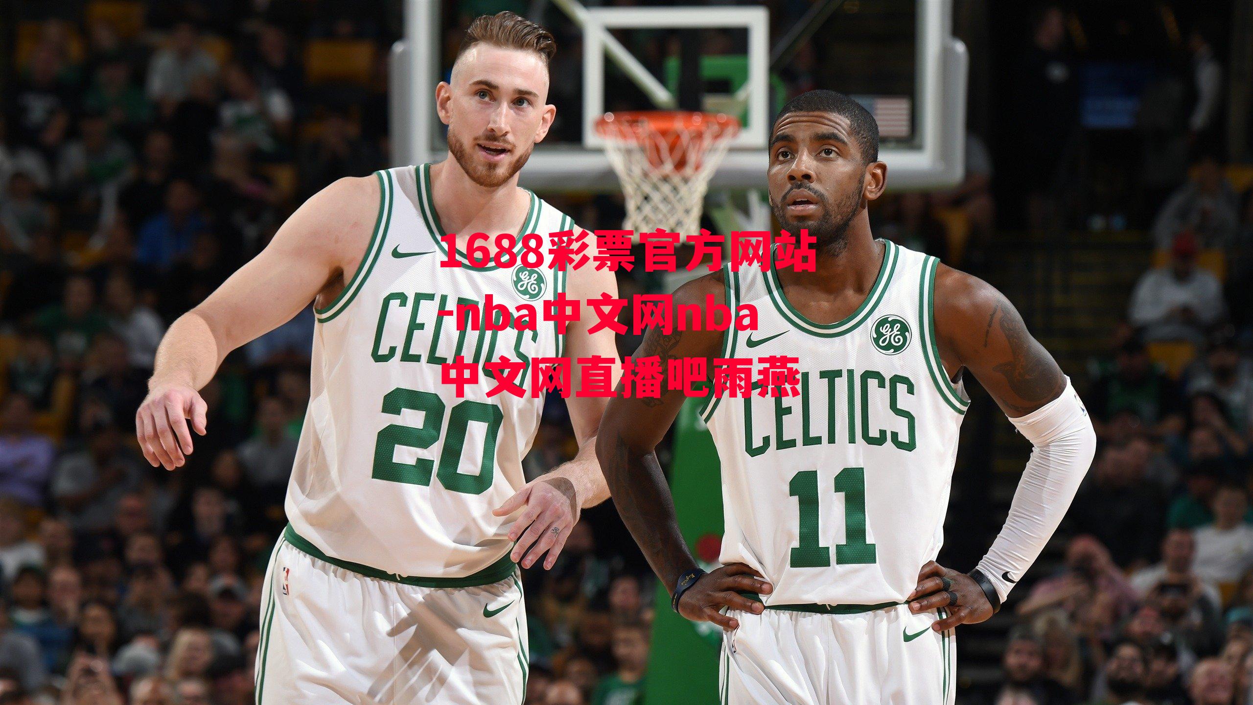 nba中文网nba中文网直播吧雨燕